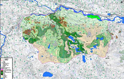 Viability Assessment Maps 2007 - Taylor Area